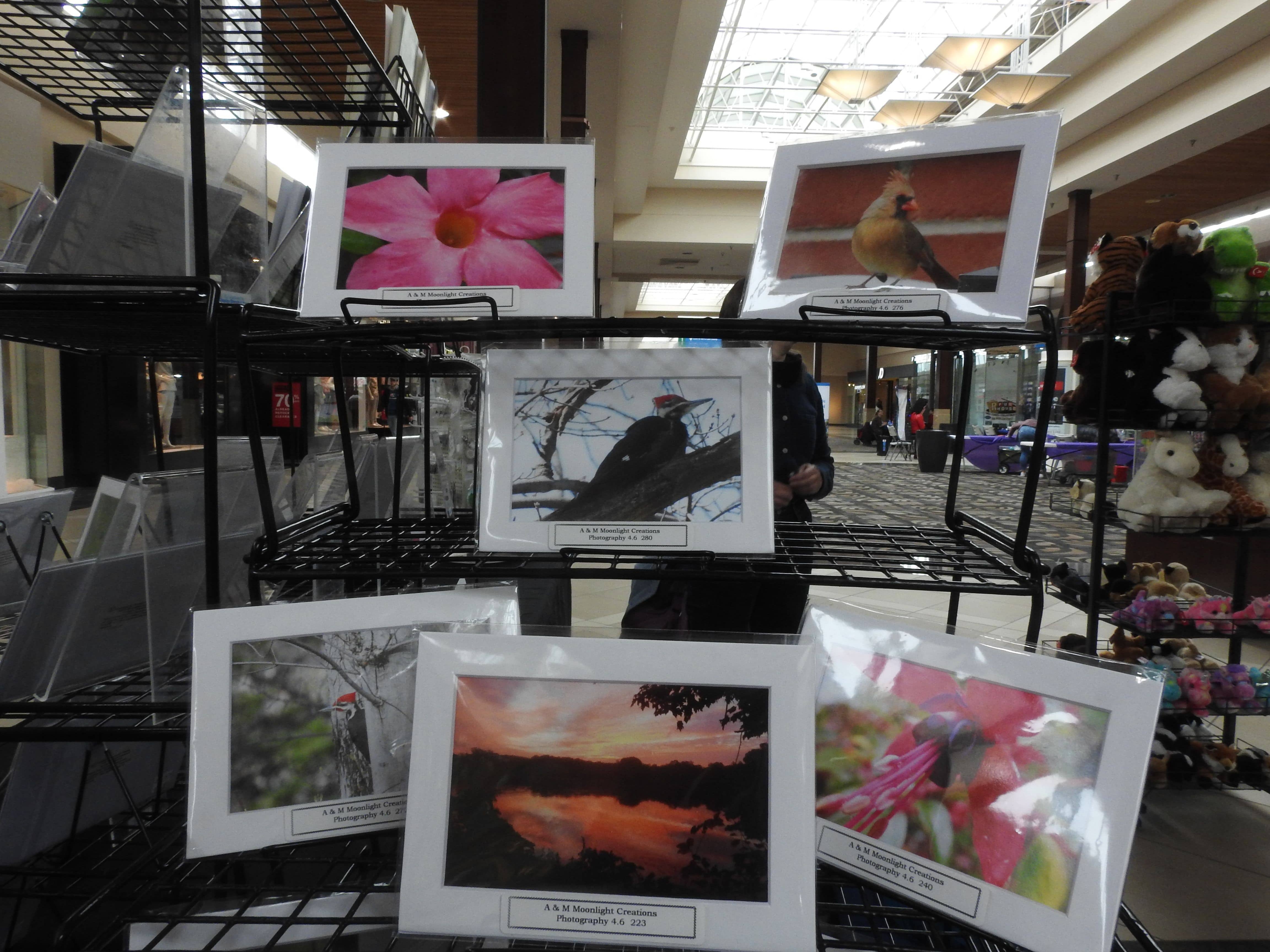 Photography prints of photography by Jennifer Priester.