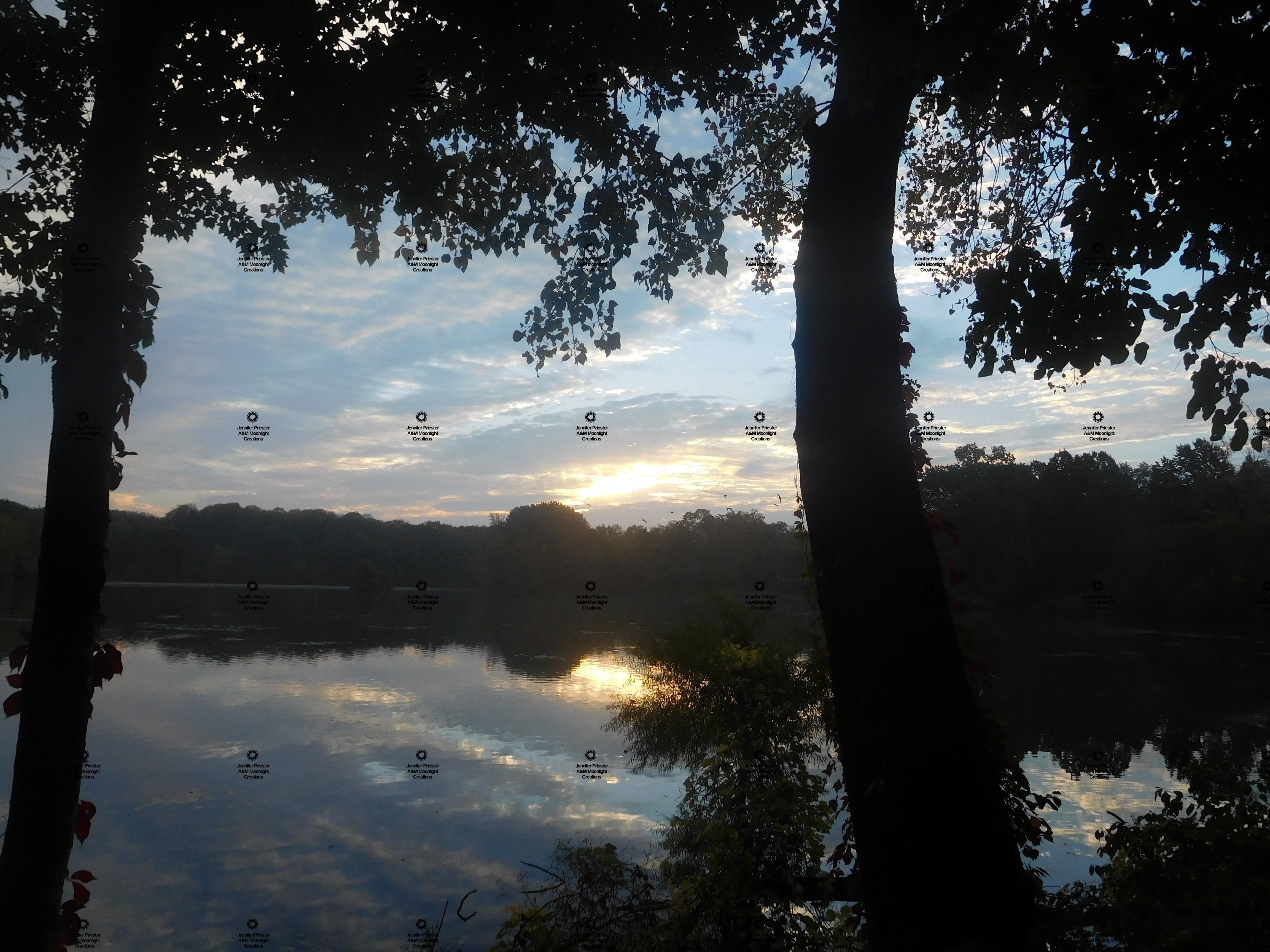 A photograph by Jennifer Priester of an early morning sky over the pond.