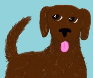 An image of Max, the chocolate colored Labrador Retriever familiar.