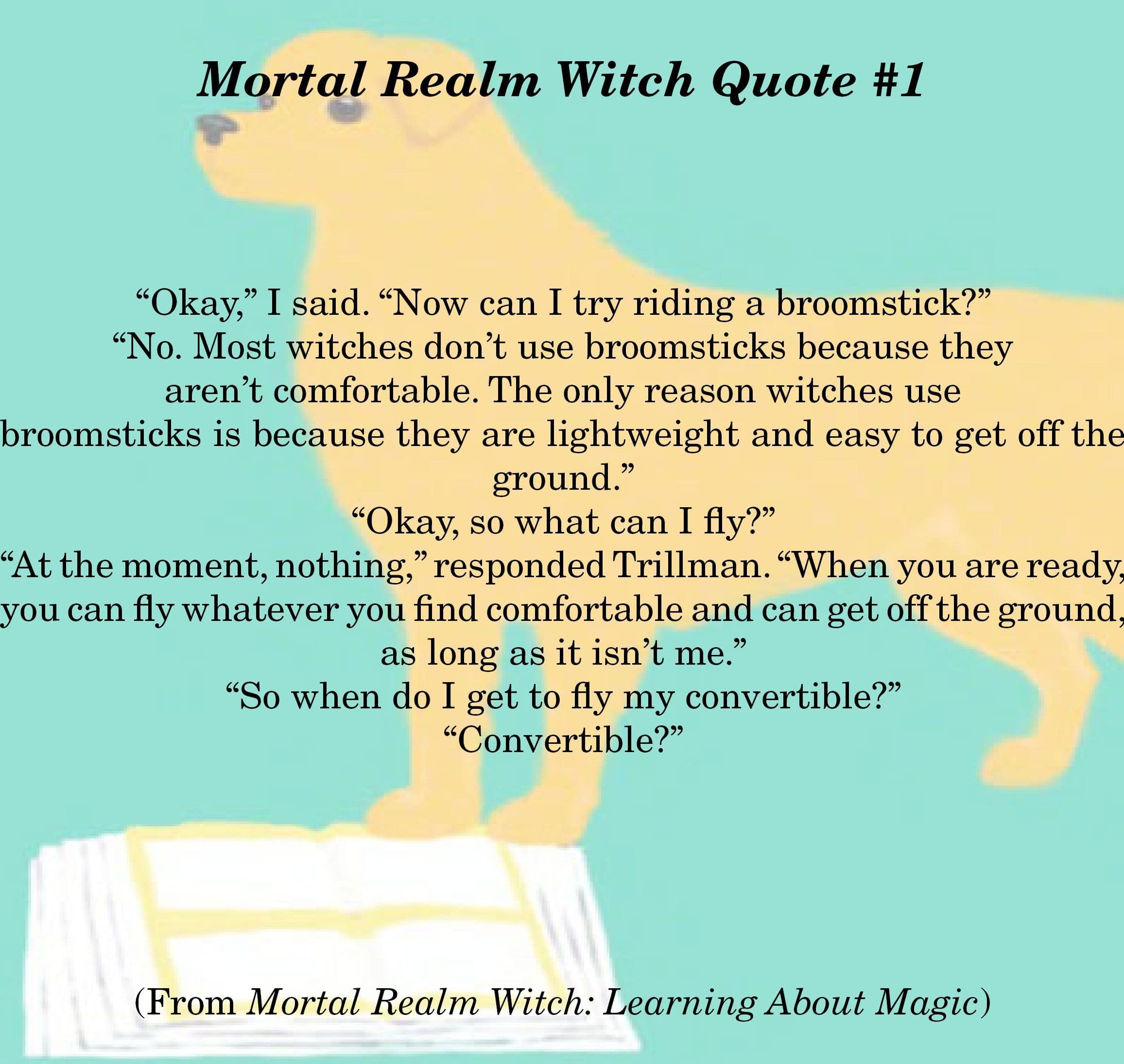 An image featuring a quote from Learning About Magic featuring Trillman talking to DWW about flying.