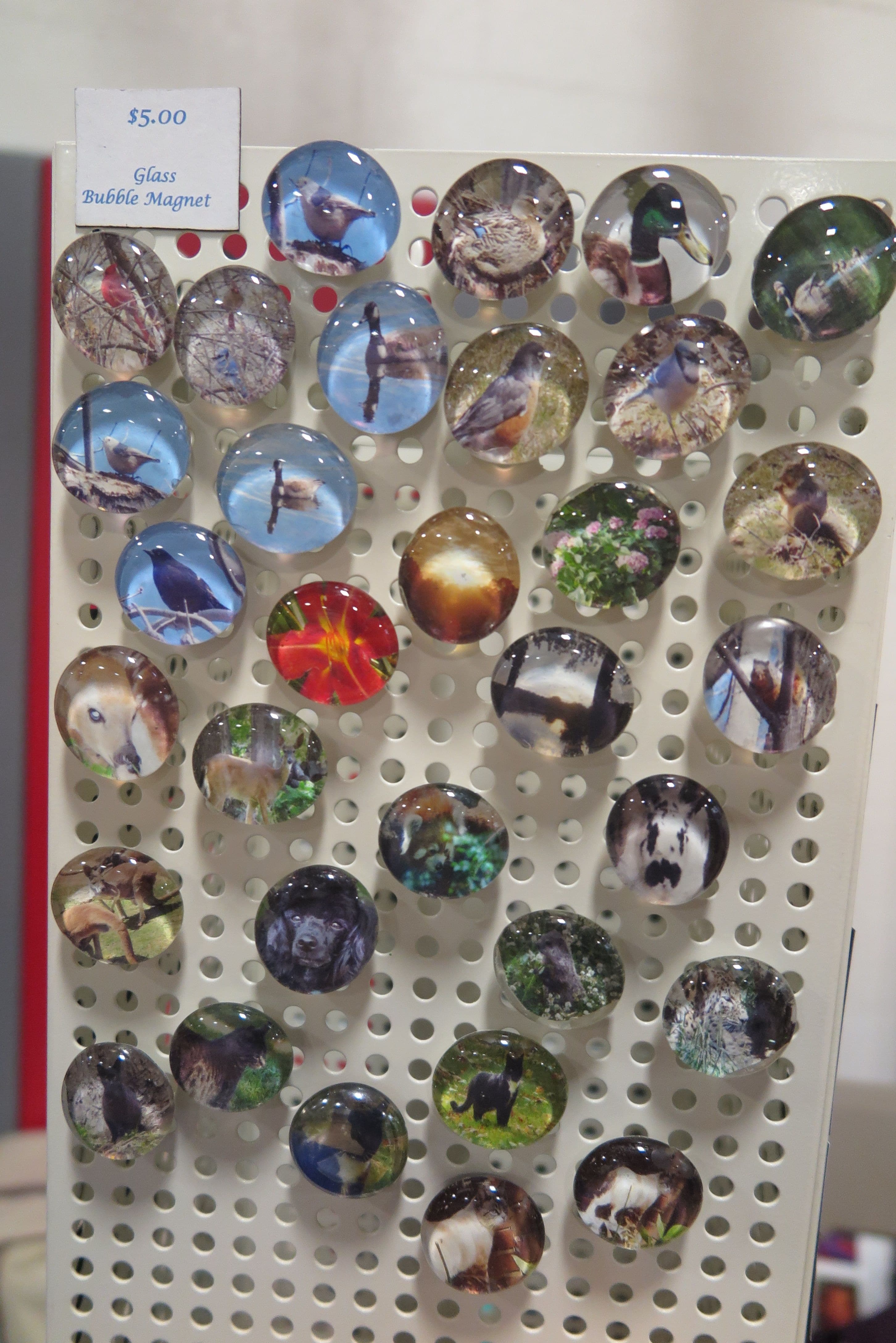 Glass Magnets featuring photography by Jennifer Priester