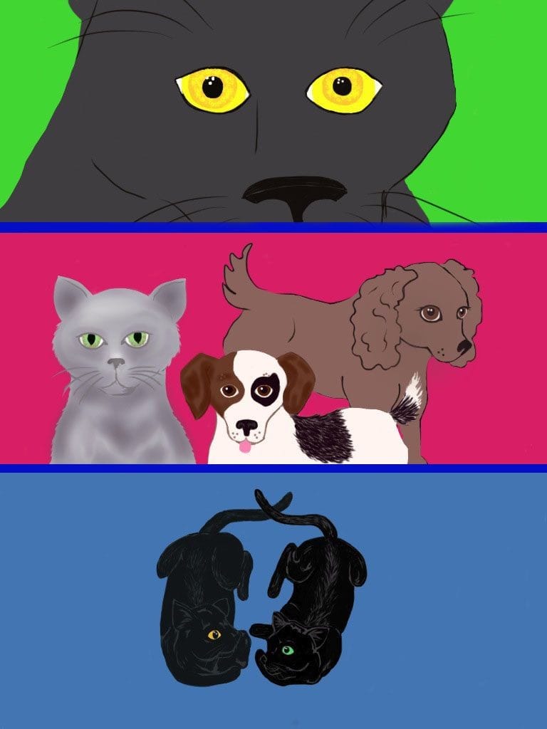 The color illustration from Brad and the Young Animal Psychics in Realms Unite? featuring Brad as both a black panther and a cat with the pets from the chapter.